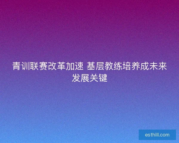青训联赛改革加速 基层教练培养成未来发展关键